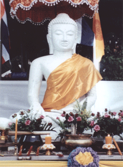 Jade Buddha Metta