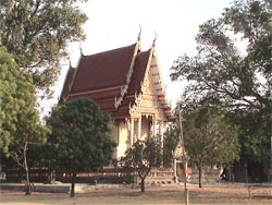 Wat Wangplado's Bot